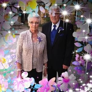 Meet your Posher, Sandy